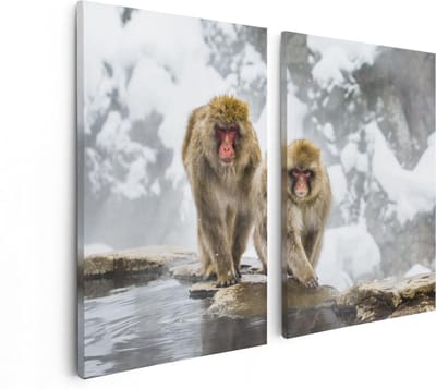 Artaza Canvas Schilderij Tweeluik Twee Aapjes In De Sneeuw Op Rotsen - 80x60 - Foto Op Canvas - Canvas Print