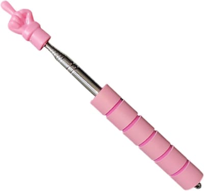 Leswijzer Stok - Lees Staf - Interactief Leren - Aanpasbare Lengte - 26 cm - Zilverkleurig