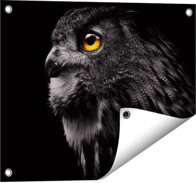 Gards Tuinposter Zwarte Uil met Gouden Ogen - 50x40 cm - Tuindoek - Tuindecoratie - Wanddecoratie buiten - Tuinschilderij