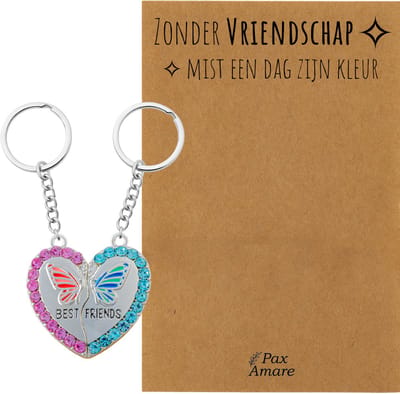 BFF Sleutelhanger voor 2 'Zonder Vriendschap mist een dag zijn kleur' - Magnetisch Hartje met Vlinder - Sleutelhanger set op Cadeau Kaartje - Zilverkleurig - Vriendschap Symbool - Pax Amare
