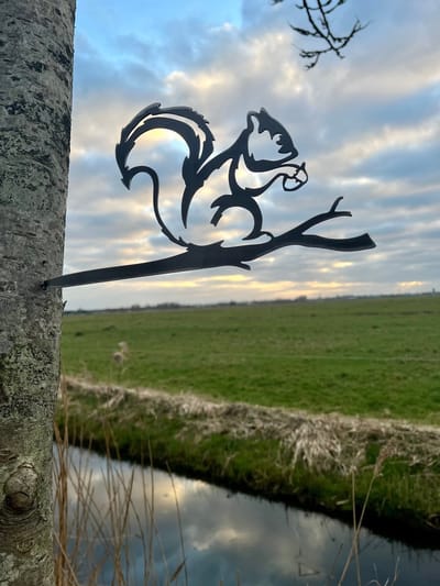 Metalen dier - De Eekhoorn - Cortenstaal tuindecoratie - Tuin decoratie