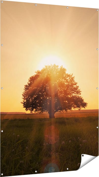 Gards Tuinposter Zonsondergang Achter een Grote Boom - 120x180 cm - Tuindoek - Tuindecoratie - Wanddecoratie buiten - Tuinschilderij