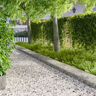 vidaXL - Gazonrand - 10 - st - 103 - x - 30 - cm - Staal - zilver