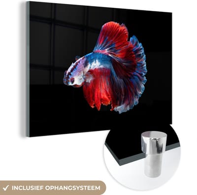 MuchoWow® Glasschilderij 120x80 cm - Schilderij acrylglas - Vis - Staart - Zwart - Foto op glas - Schilderijen