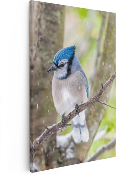 Artaza Canvas Schilderij Blauwe Gaai - 20x30 cm - Klein - Wanddecoratie Tak - Muurdecoratie Bos - Kamer Accessoires Woonkamer