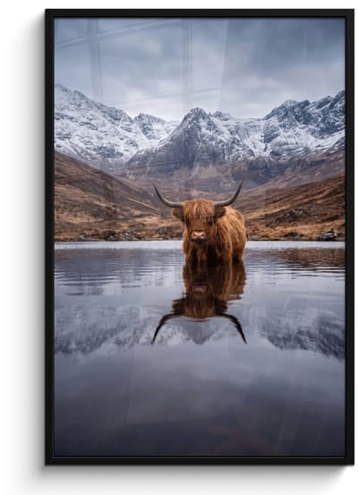 Poster in lijst - Fotolijst 80x120 cm - Posters - Schotse hooglander - Bruin - Water - Posterlijst zwart - Decoratie - Wanddecoratie woonkamer - Muurdecoratie slaapkamer