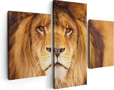 Artaza Canvas Schilderij Drieluik Leeuw - Leeuwenkop - 90x60 cm - Wanddecoratie Woonkamer - Schilderijen - Muurdecoratie