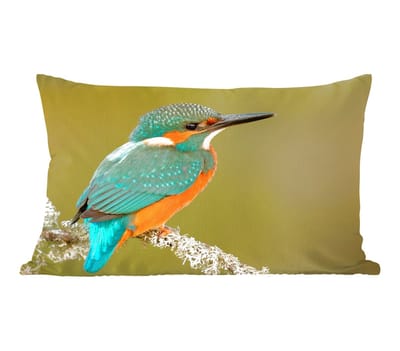 Sierkussens - Kussentjes Woonkamer - 50x30 cm - IJsvogel - Dieren - Vogel