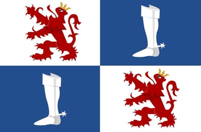 Vlag Linter 100x150cm