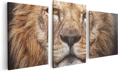Artaza Canvas Schilderij Drieluik Leeuw - Leeuwenkop - Kleur - 120x60 - Foto Op Canvas - Canvas Print