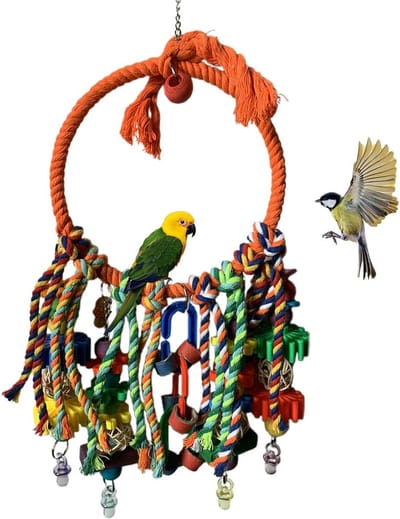Parkietschommel Ringschommel - Vogel speelgoed - Vogels vermaken - Klimmen en kauwen - 243L x 19B x 68H cm - Oranje