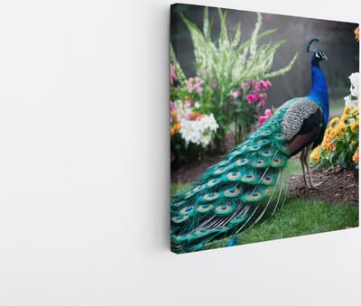 Saammp Canvas Schilderij - Pauw in bloementuin - Dieren - Natuur - 20x20 - Foto op canvas - Wanddecoratie - muurdecoratie Woonkamer - Slaapkamer decoratie - Canvas Print
