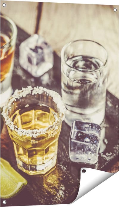 Gards Tuinposter Alcoholische Drankjes - Drank - 60x90 cm - Tuindoek - Tuindecoratie - Wanddecoratie buiten - Tuinschilderij