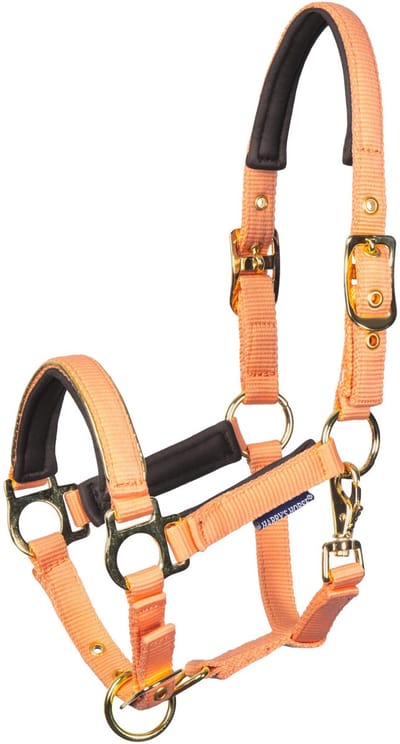 Harry's Horse - Veulenhalster Metal - Cadmium Orange - Mini Veulen