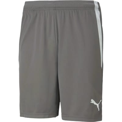 Puma Korte Broek Teamliga Shorts 13 - Sportswear - Volwassen