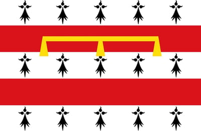 Vlag Nandrin 100x150cm