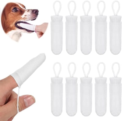Famanu – Set van 10 Vingertandenborstels voor Honden – Herbruikbare Tandenborstels voor Dagelijkse Gebitsverzorging
