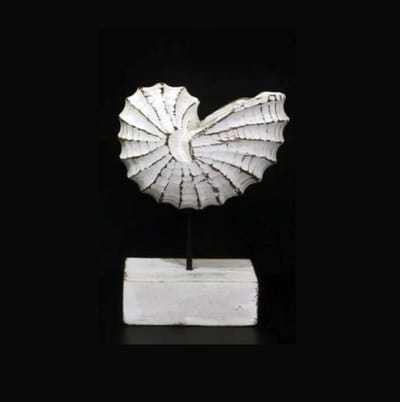 Houten schelp beeld antique white L