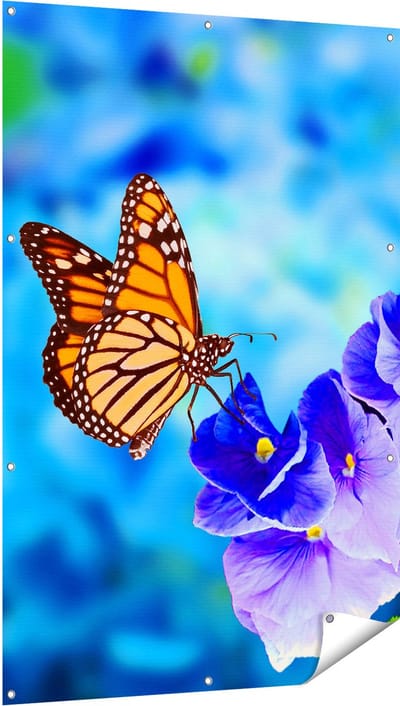 Gards Tuinposter Oranje Vlinder bij Paarse Bloemen - 100x150 cm - Tuindoek - Tuindecoratie - Wanddecoratie buiten - Tuinschilderij