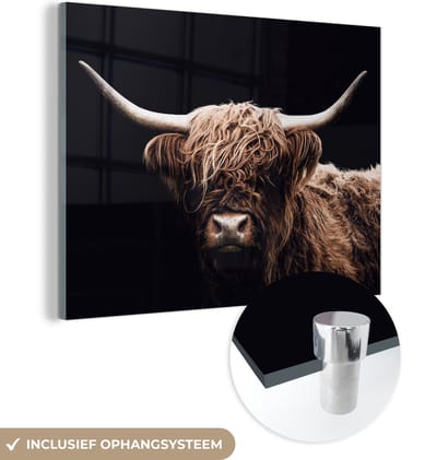 MuchoWow® Glasschilderij 120x90 cm - Schilderij acrylglas - Schotse Hooglander - Zwart - Hoorn - Foto op glas - Schilderijen