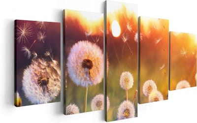 Artaza Canvas Schilderij Vijfluik Paardenbloemen Tijdens Zonsondergang - 100x50 - Foto Op Canvas - Canvas Print