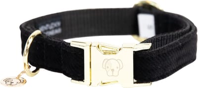 Kentucky Dogwear - Hondenhalsband Corduroy - Zwart - Maat S - 28-40cm - Hondenriem