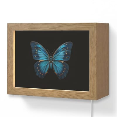 Wandlamp 20x15 cm - Oplaadbaar - Vlinder - Blauw - Contrast - Wandlampen binnen woonkamer - Slaapkamer lamp met kabel - Decoratieve nachtlamp - Vloerlamp snoer