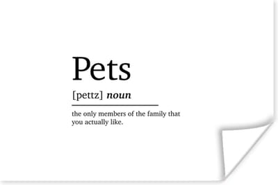 Poster Quotes - Pets - Huisdieren definitie - Woordenboek - Spreuken - 180x120 cm XXL