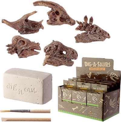 Dinosaurusus - Schedel - Fossiel - Opgravings Set - Dig it Out Kit - 1 Schedel