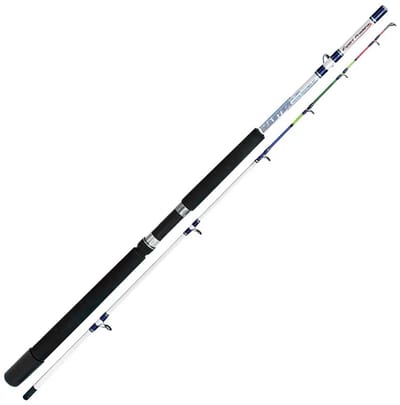 Expert Predator Master Bodemvissen Hengel Zilver 2.10 m / 100-180 g