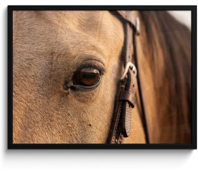 Poster in lijst - Fotolijst 80x60 cm - Posters - Paard - Oog - Bruin - Posterlijst zwart - Decoratie - Wanddecoratie woonkamer - Muurdecoratie slaapkamer