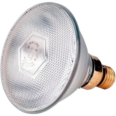 Philips - Warmtelamp E 100w Wit Energiebesparend