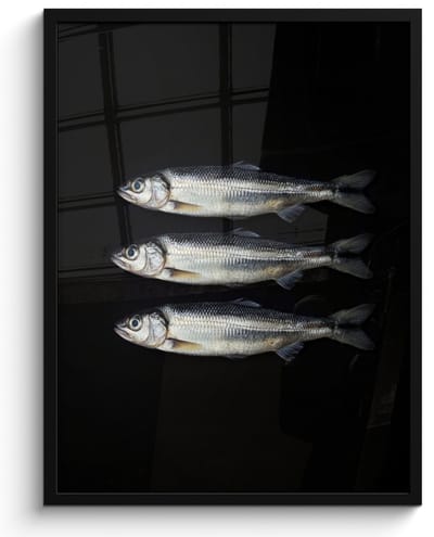 Poster in lijst - Fotolijst 50x70 cm - Posters - Haring - Vissen - Zwart - Posterlijst zwart - Decoratie - Wanddecoratie woonkamer - Muurdecoratie slaapkamer
