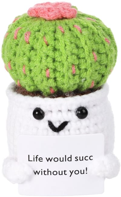Dailygoods- Cactus Gehaakt Speelgoed - Positieve Cadeau Decoratie