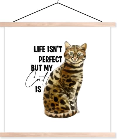 Posterhanger incl. Poster 40x40 cm - Schoolplaat - Life isn't perfect but my cat is - Quotes - Spreuken - Katten - Textielposter - Blanke latten