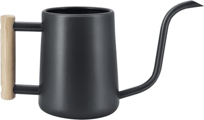 Dailygoods - 1 Liter Gieter - Met Lange Tuit en Houten Handvat voor Binnenplanten