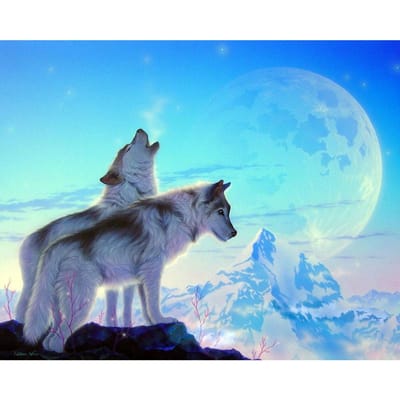 Diamant schilderij Wolf volledige boor Strass kruissteek diamant borduurwerk ambachten kerstcadeau 20X30CM