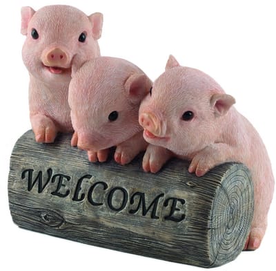 Welkom varkens
