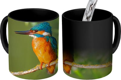 Magische Mok - Foto op Warmte Mokken - Koffiemok - Vogel - IJsvogel - Tak - Bladeren - Mos - Magic Mok - Beker - 350 ML - Theemok