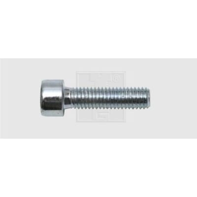 SWG 4009146067003 Inbusschroeven 10 mm 30 mm Binnenzeskant (inbus) DIN 912 Staal Verzinkt 100 stuk(s)