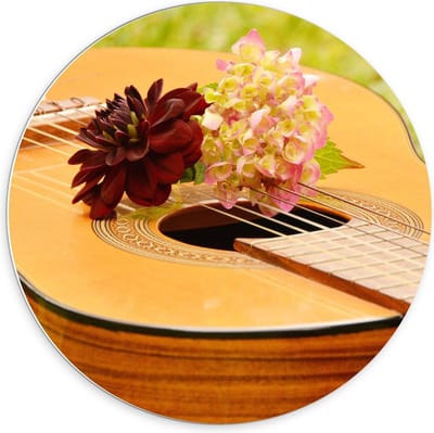 Forex Wandcirkel - Gitaar in Grasveld met Bloemen - 70x70cm Foto op Wandcirkel (met ophangsysteem)