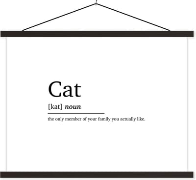 Posterhanger incl. Poster 40x30 cm - Schoolplaat - Quotes - Huisdieren - Cat - Spreuken - Woordenboek - Kat definitie - Textielposter - Zwarte latten
