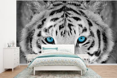 Behang - Fotobehang Tijger - Winter - Dieren - Breedte 295 cm x hoogte 220 cm