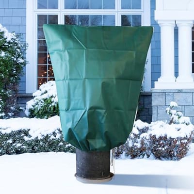 Winterbescherming voor Planten: Tuinvlies 70 g/m², 120 x 180 cm, Geschikt voor Olijfbomen en Palmen