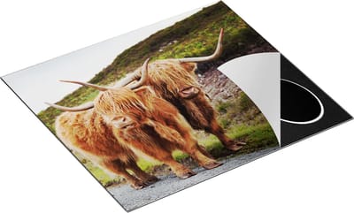 Chefcare Inductie Beschermer Twee Schotse Hooglanders op de Weg - 60x50 cm - Afdekplaat Inductie - Kookplaat Beschermer - Inductie Mat