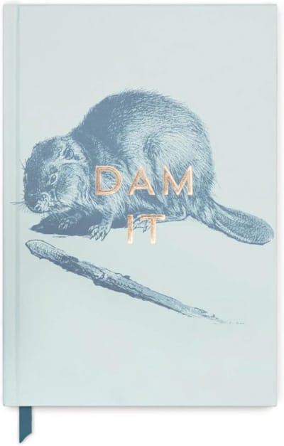 Soft Touch Hardcover Notitieboek met 240 Gestreepte Pagina's - Voor Werk, Schrijven, Dagboek - A5 Formaat