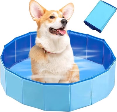Honden- en kattenzwembad 60 x 20 cm met afvoerklep, antislip ontwerp, ideaal voor warm weer en waterplezier