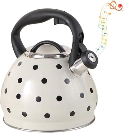 Fluitende waterkoker - Theepot RVS - Water koken - Geïsoleerd handvat - 3 liter inhoud - Wit