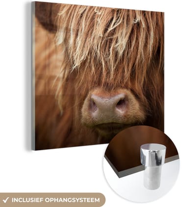 MuchoWow® Glasschilderij 50x50 cm - Schilderij acrylglas - Schotse Hooglander - Neus - Haar - Foto op glas - Schilderijen