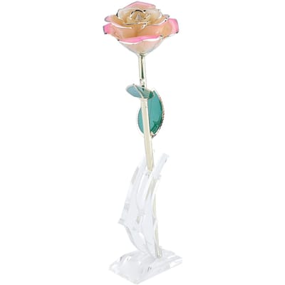 Langstelige Gedipte 24k Gouden Roos in Geschenkdoos met Standaard (Wit roze Roos met Standaard) beige